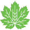 Devil's Club Brewing logo