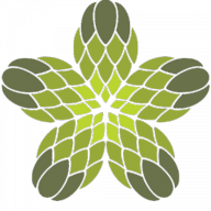 Fibonacci Brewing Company logo