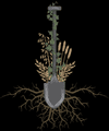 Farmacy Brewing logo