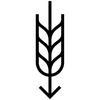 Steuben Brewing Company logo