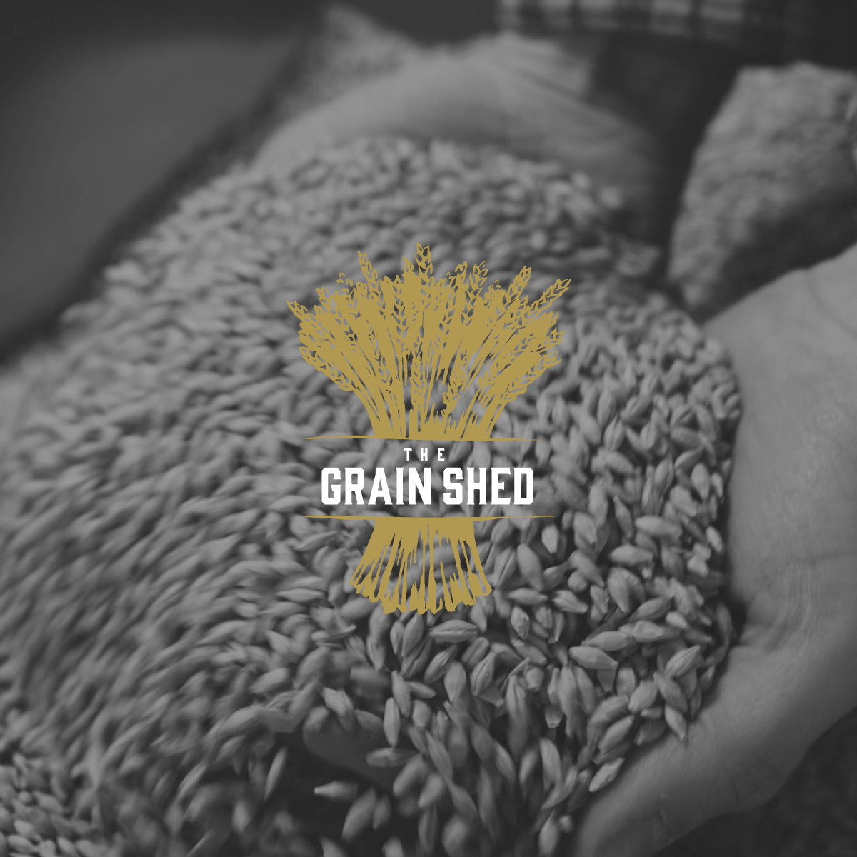 The Grain Shed logo