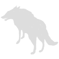 Wicklow Wolf Brewing Company logo