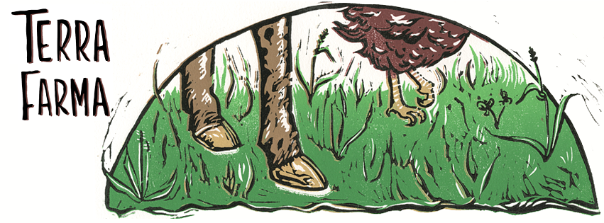 Hi How Are You? by Funhouse Brews