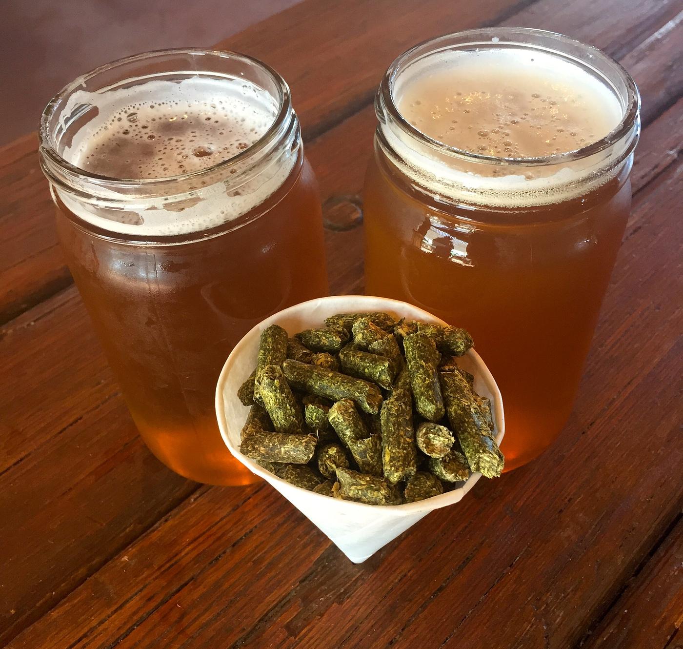 Nelson Lane by GoatHouse Brewing Co