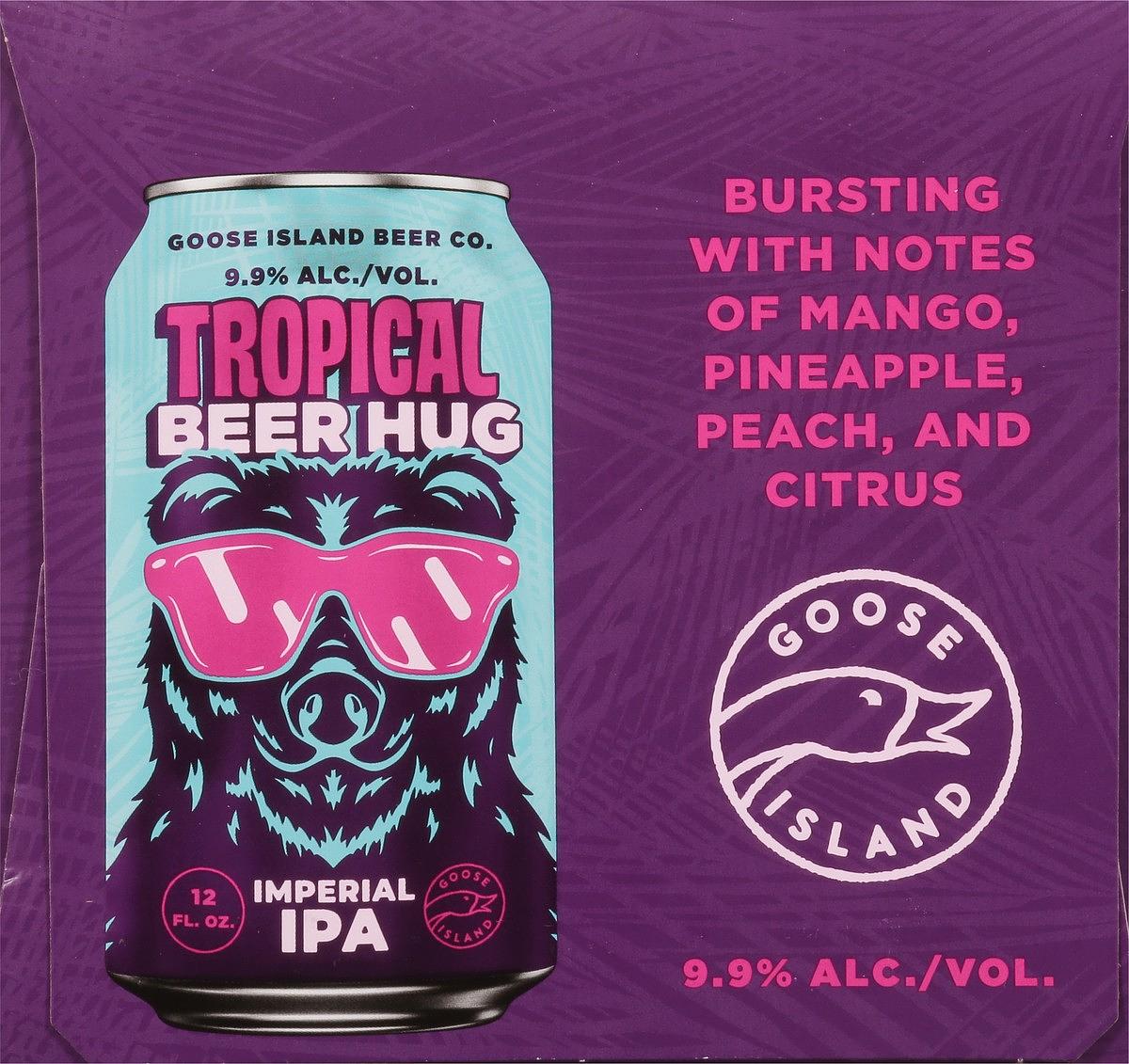 Tropical Beer Hug by Goose Island Brewpub