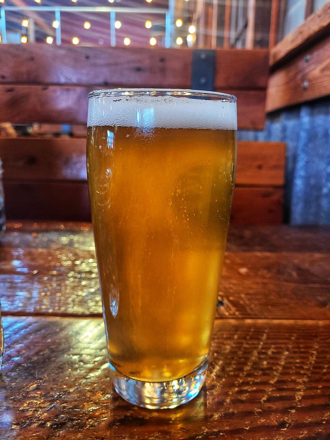 Citra Fresh by Grain Station Brew Works