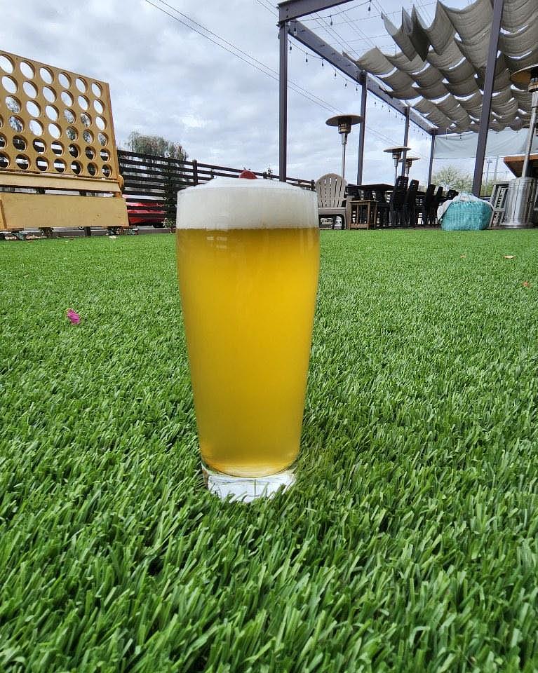 Definitely Not Dead by Half-Pace Brewing Co.