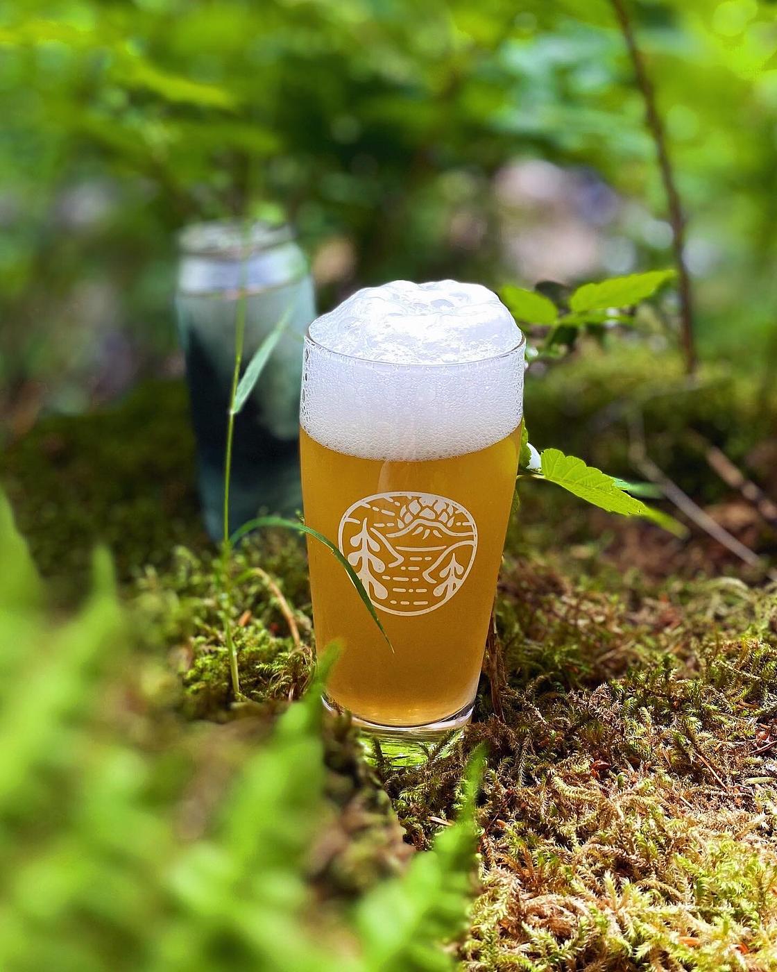 Dry Dock by Harbor Mountain Brewing Co