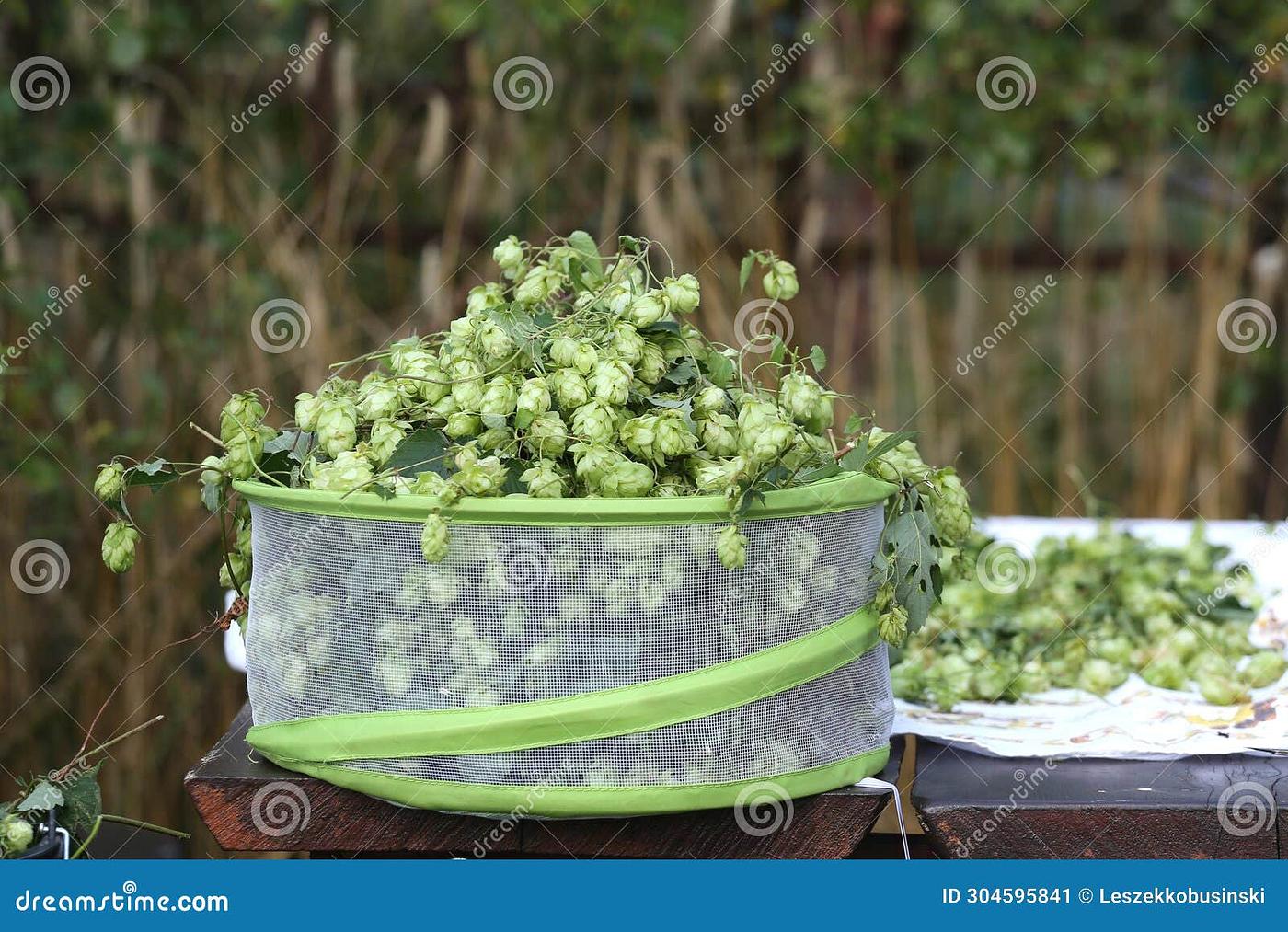 Bushel Basket by Hop Garden Brewing