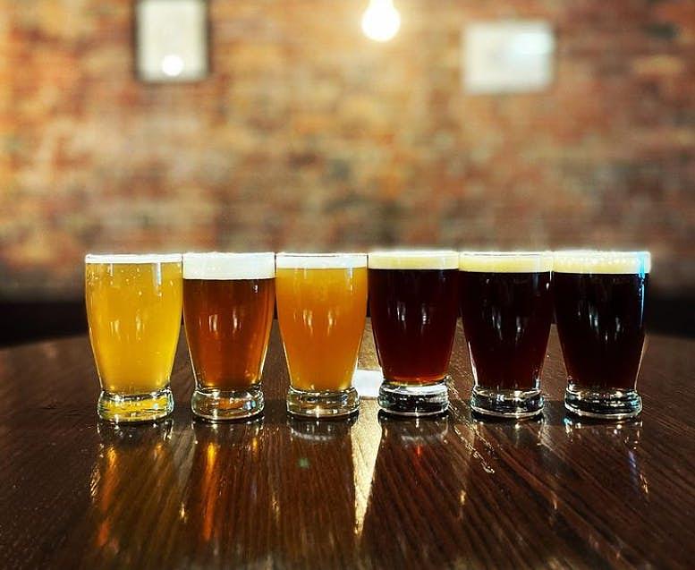 Tall Timber Session IPA by Hopkins Brewing Company