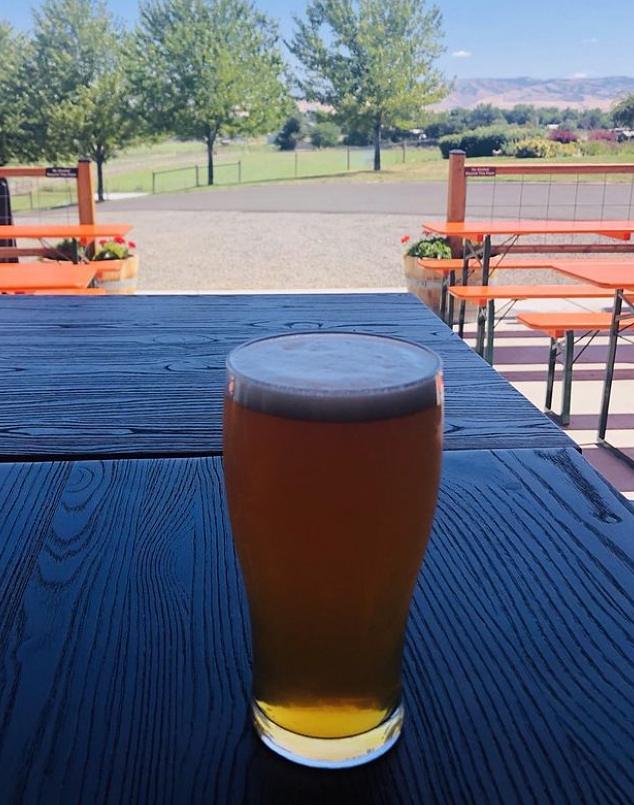 Thunder Hooves by Five Dollar Ranch Brewing