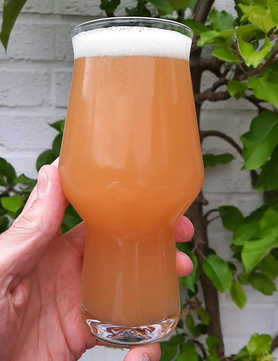 Flyboy Brewing Hops 4 Life Hazy IPA by FlyBoy Brewing