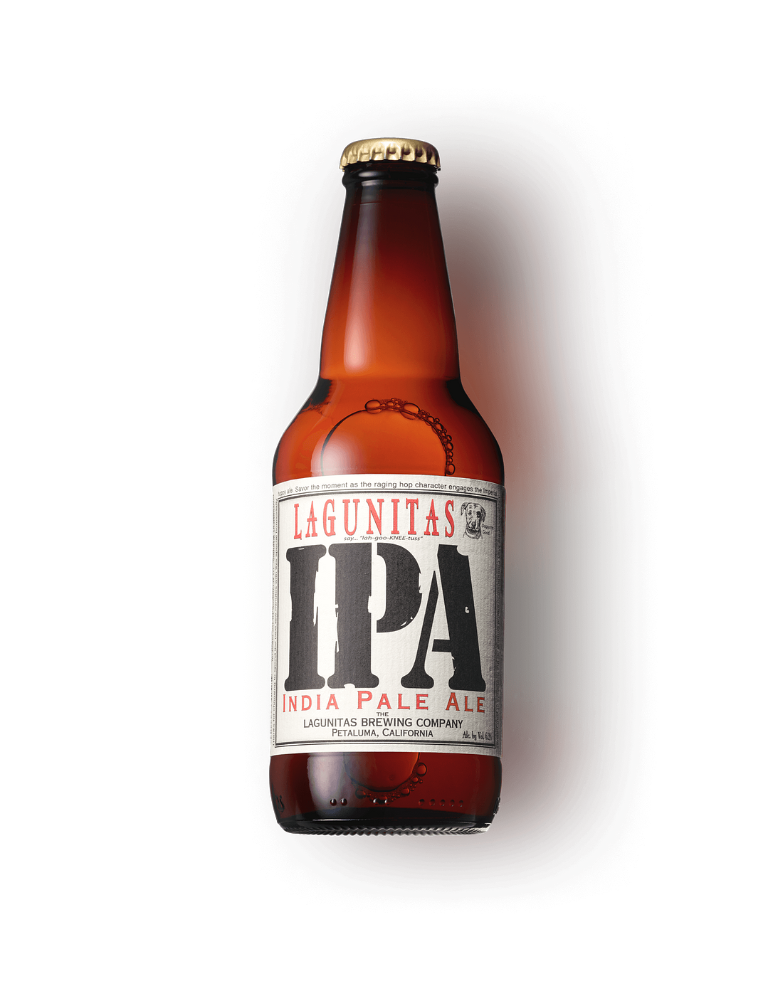 Hazy IPA by Lagunitas Seattle Taproom and Beer Sanctuary