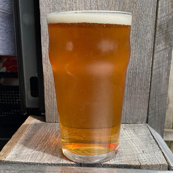 Jungle Fungus IPA by Lake Ann Brewing Co