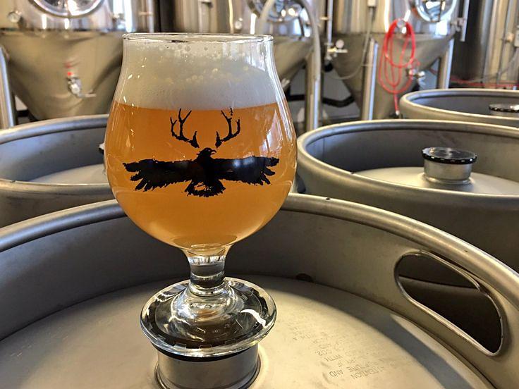 Prog Rock New England IPA by Lakes & Legends Brewing Company