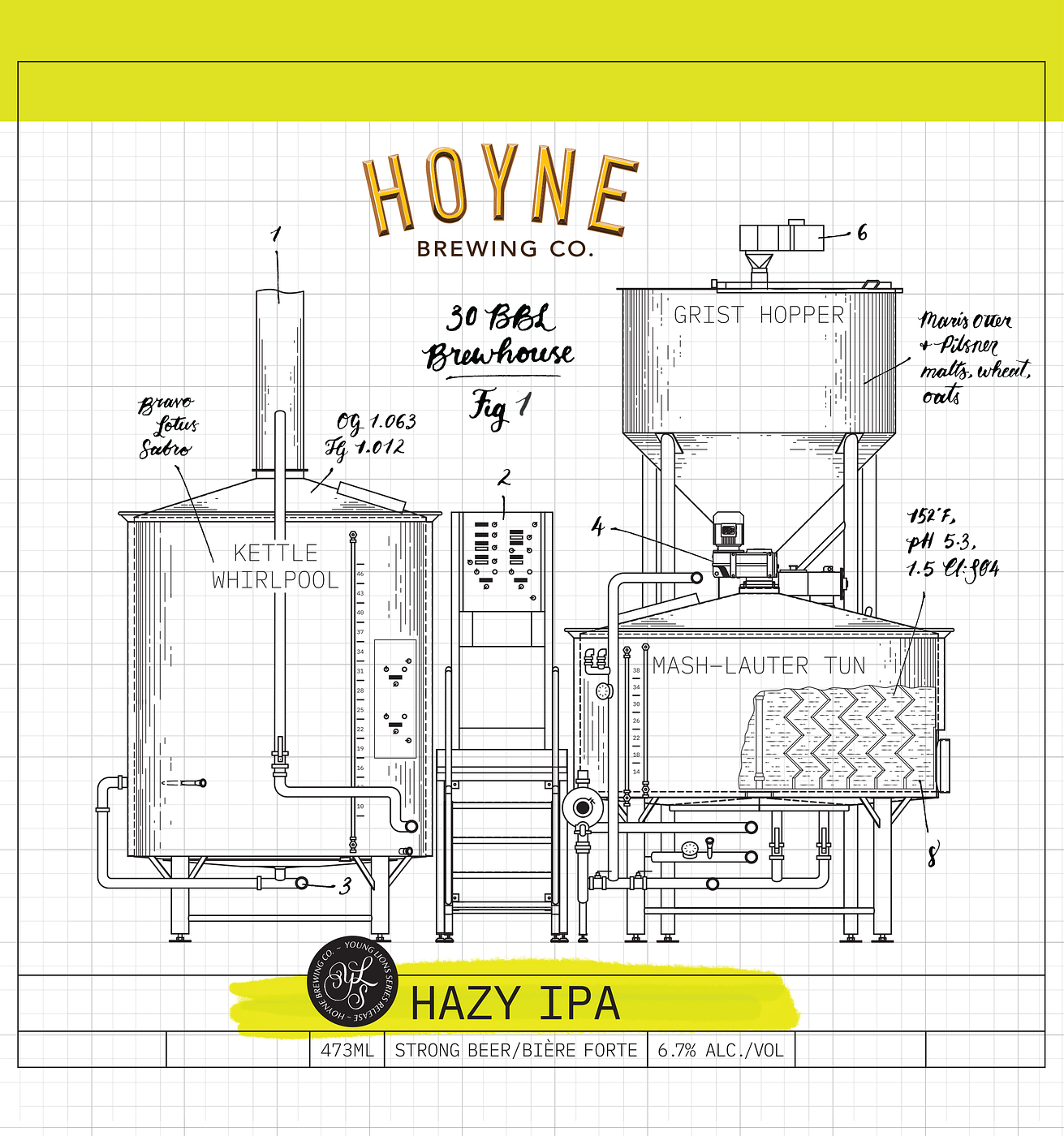 Young Lions Hazy IPA Vol. 1 by Hoyne Brewing Co.