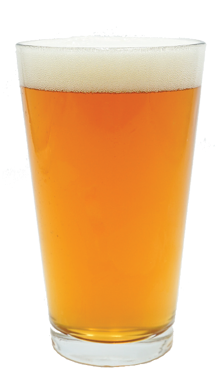 Hazy IPA by Hunter Gatherer Brewery and Alehouse