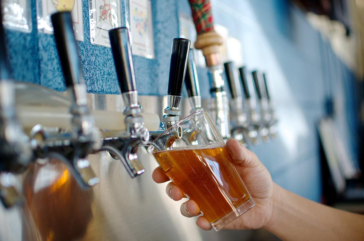 Idolicious by Idol Beer Works