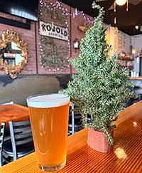 Crooked Fate IPA by Kobold Brewing