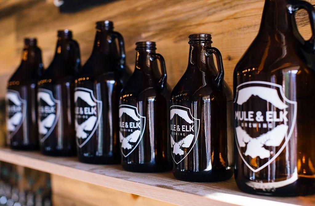 Session IPA by Mule & Elk Brewing Co