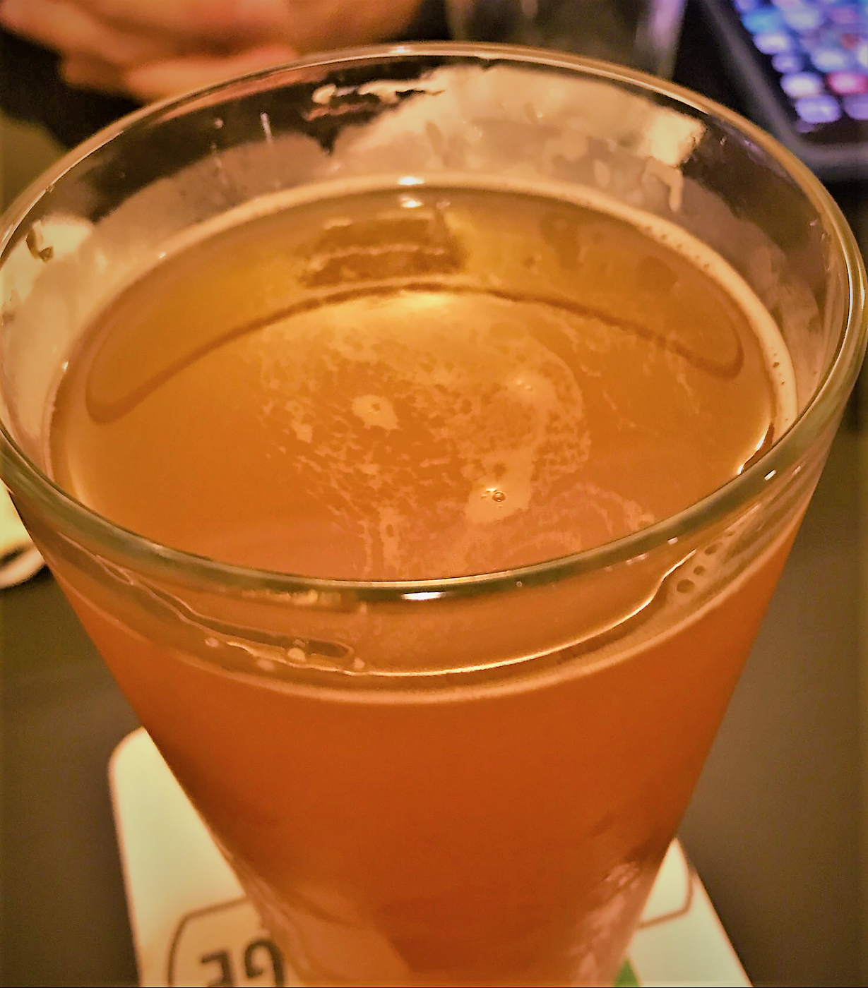 High Water IPA by New Village Brewery and Taproom