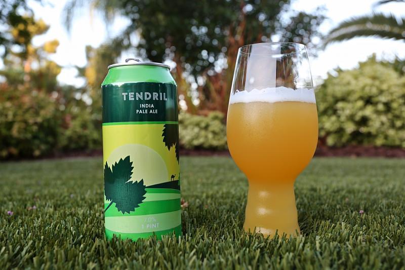Tendril by Proclamation Ale Company