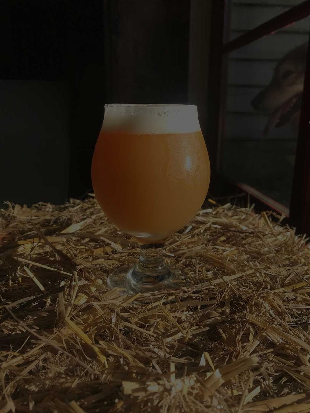 Back Road IPA by S & S Farm Brewery