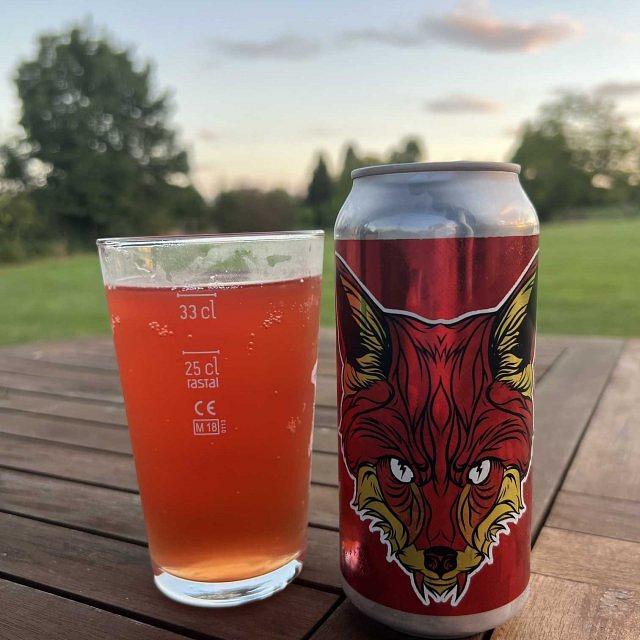 Pet in Cabin by Salama Brewing Co