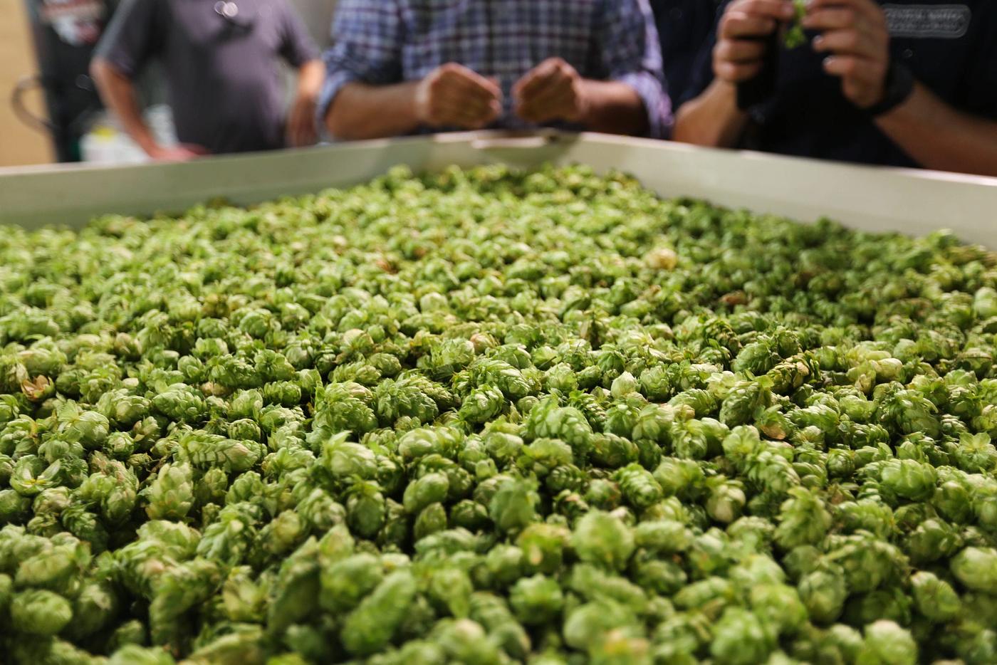 WET by Surly Brewing Company