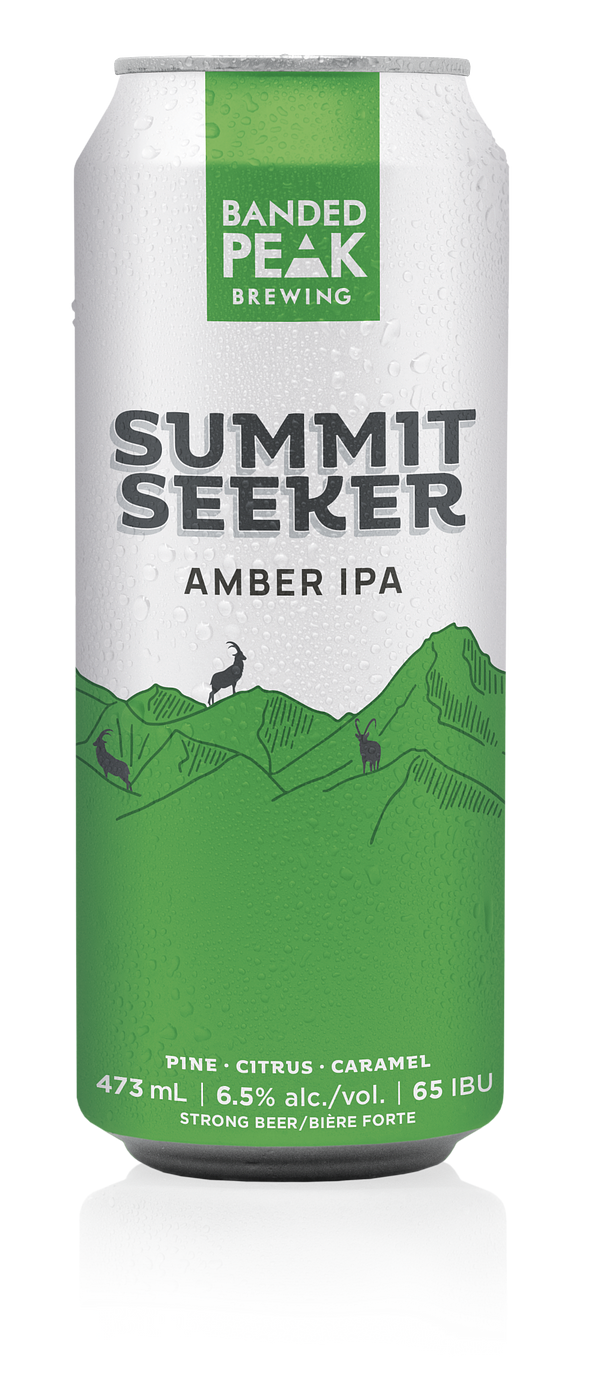 Summit Seeker IPA by Thornbury Village Craft Brewery
