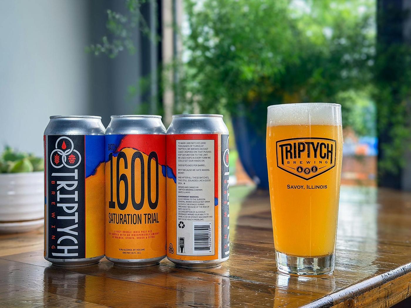 Batch 1600: Saturation Trial by Triptych Brewing
