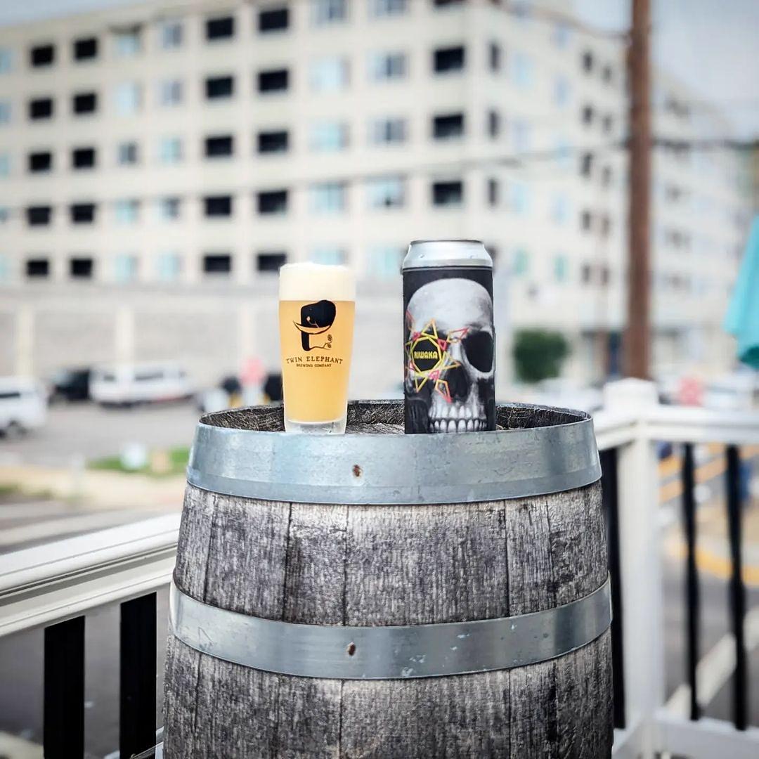 NOSH: EGGERS RIWAKA & ALORA by Twin Elephant Brewing Company