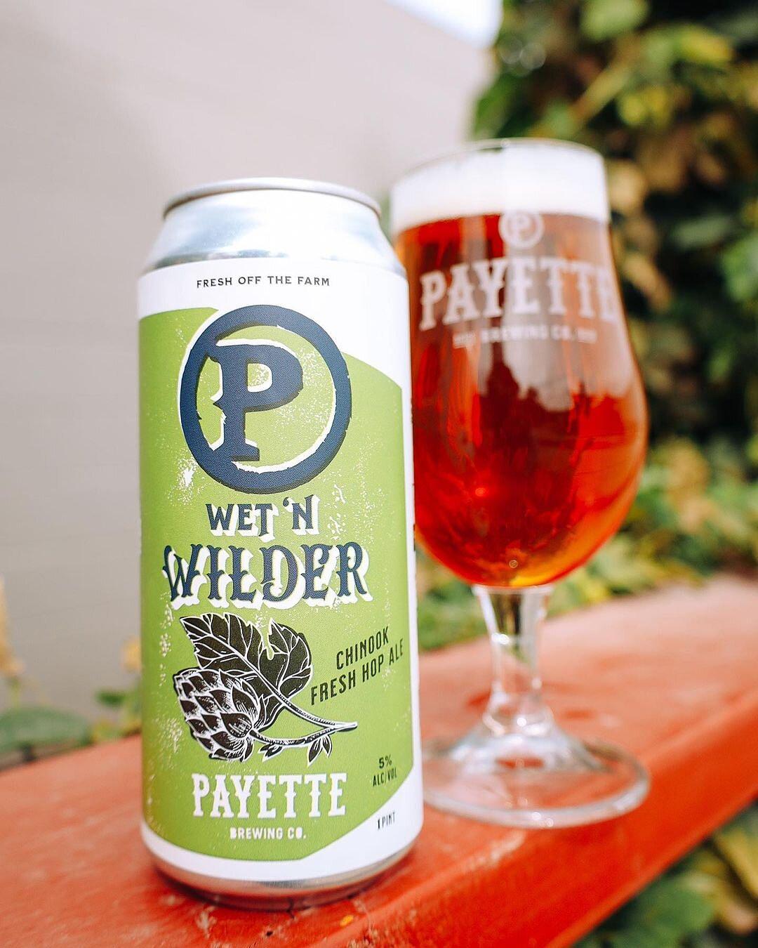 Wet 'n Wilder Fresh Hop IPA by Payette Brewing Co