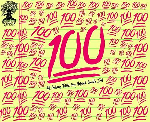 100 Galaxy by Burley Oak Craft Brewery