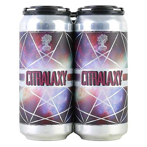 Citralaxy IPA by Burley Oak Craft Brewery