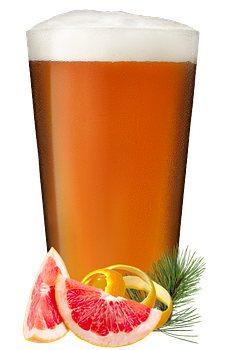 Ode IPA by Castle Danger Brewery