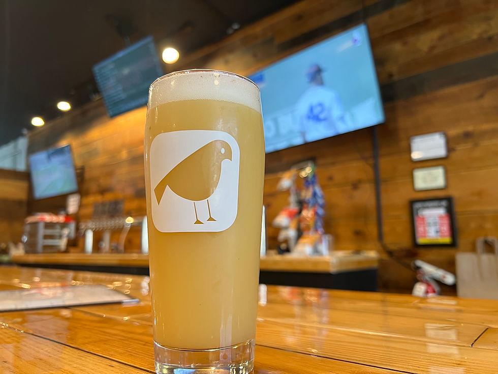 4th Anniversary by Feathered Friend Brewing