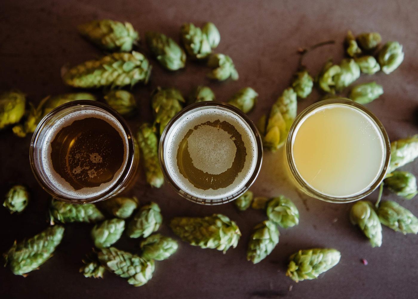 GPFC by Eno River Brewing