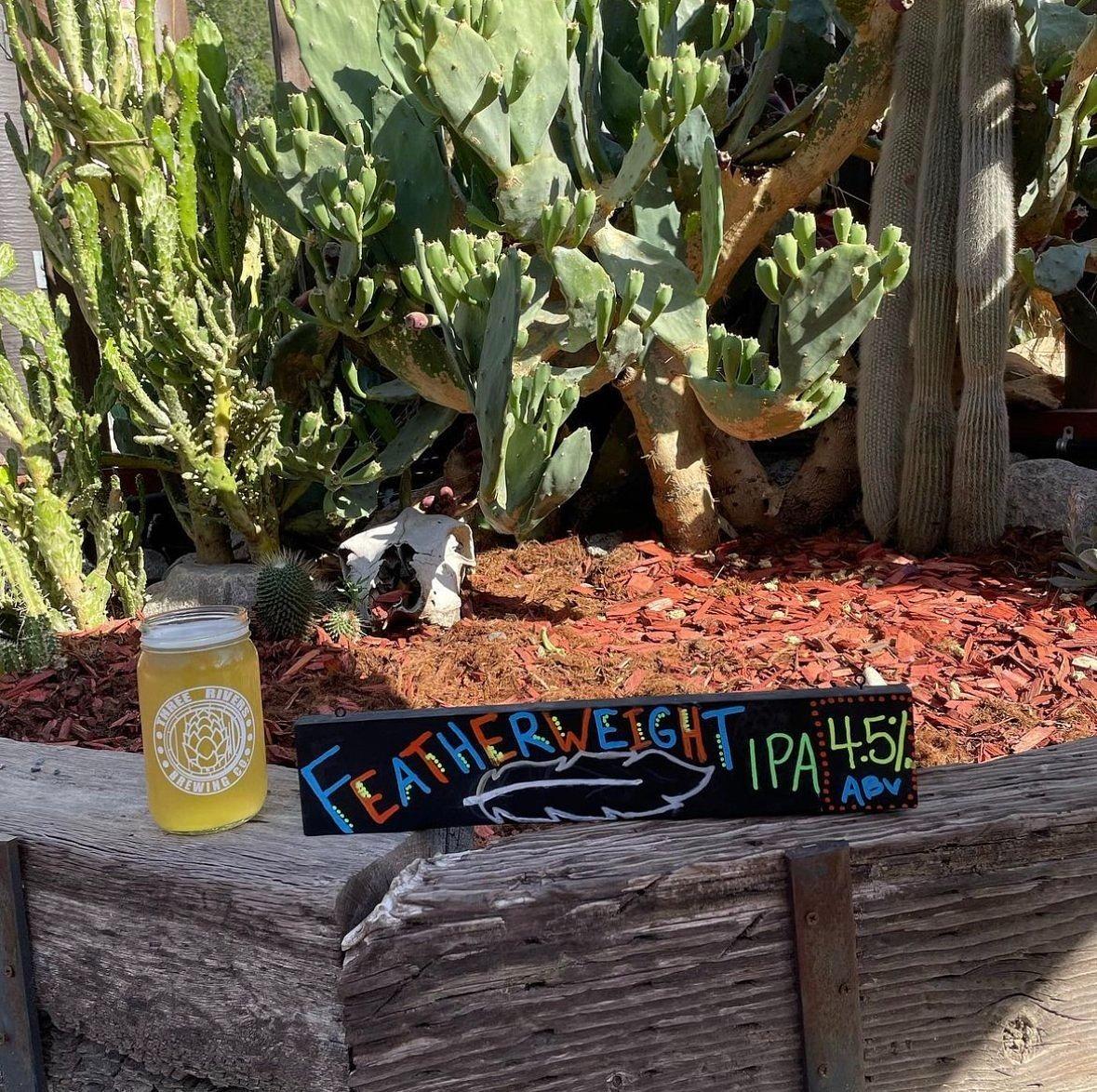 Featherweight IPA by Three Rivers Brewing Co
