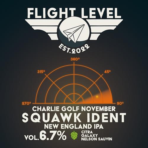 Charlie Golf India November Mike Squawk Ident #12 by Salama Brewing Co