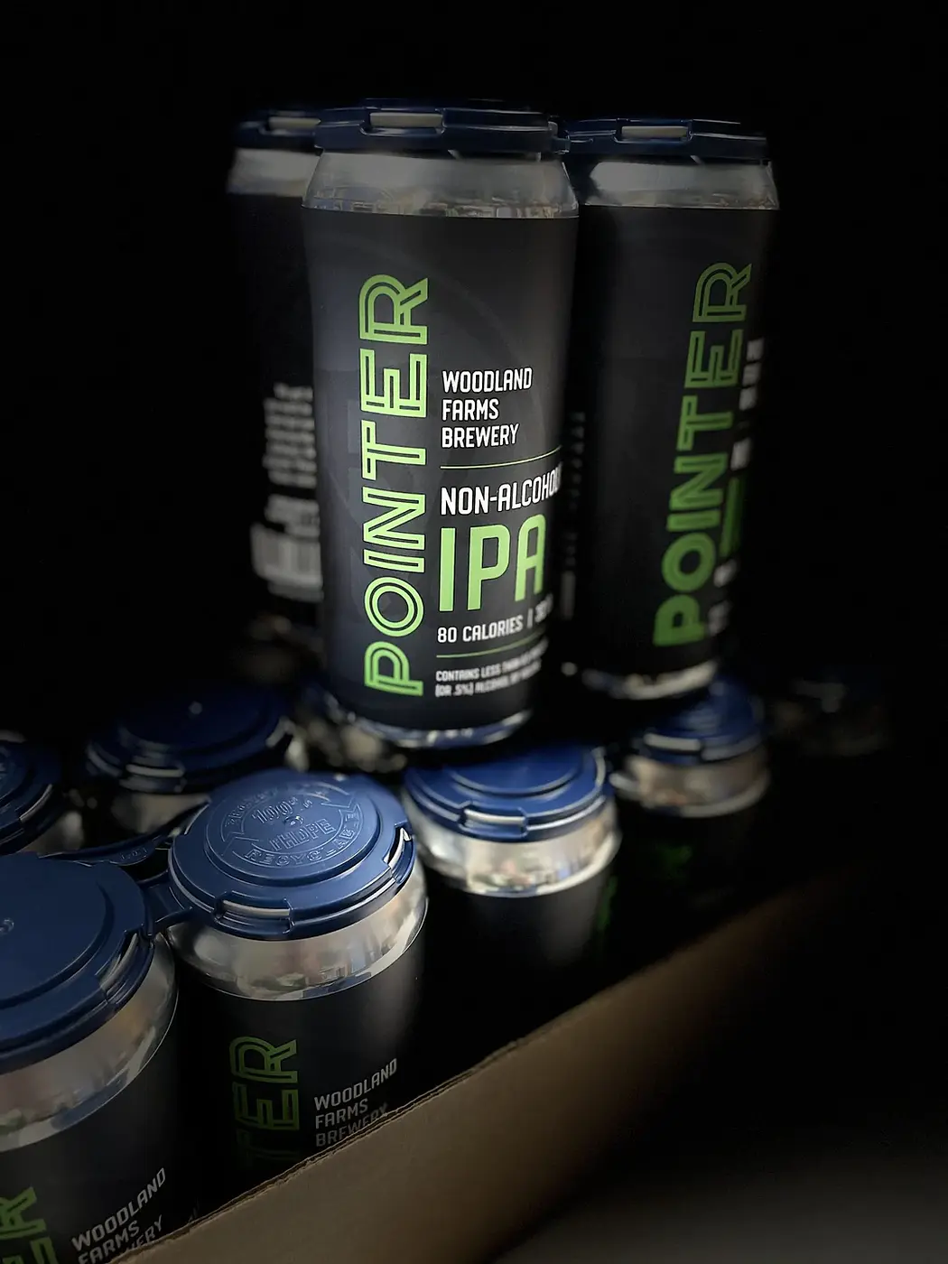 Pointer by Woodland Farms Brewery