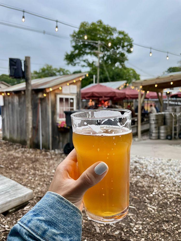 Business As Usual IPA by Lake Ann Brewing Co