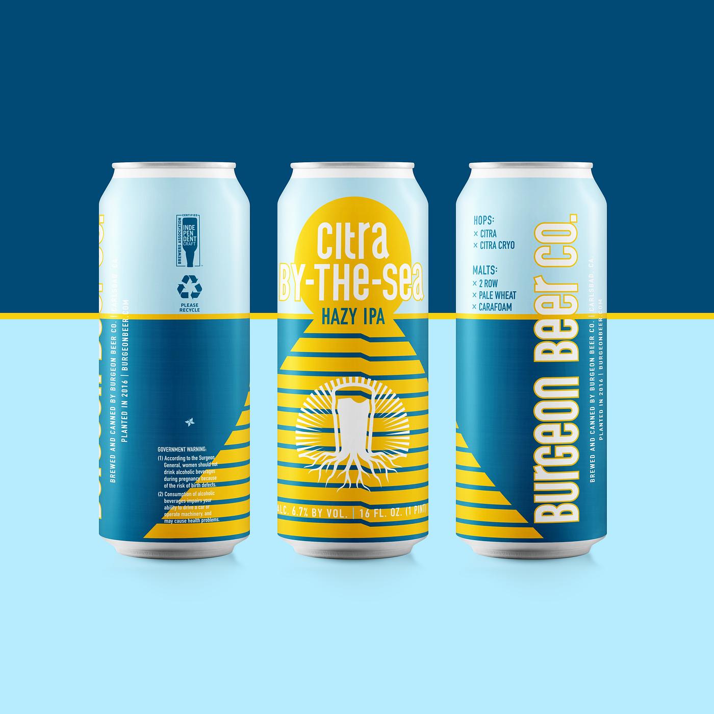 Citra-by-the-Sea Hazy IPA by Burgeon Beer Company