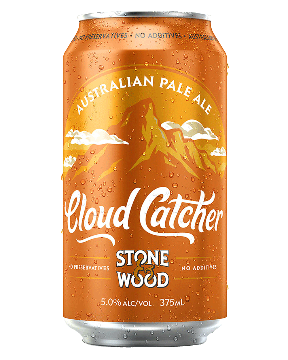 Cloud Catcher by Third Space Brewing