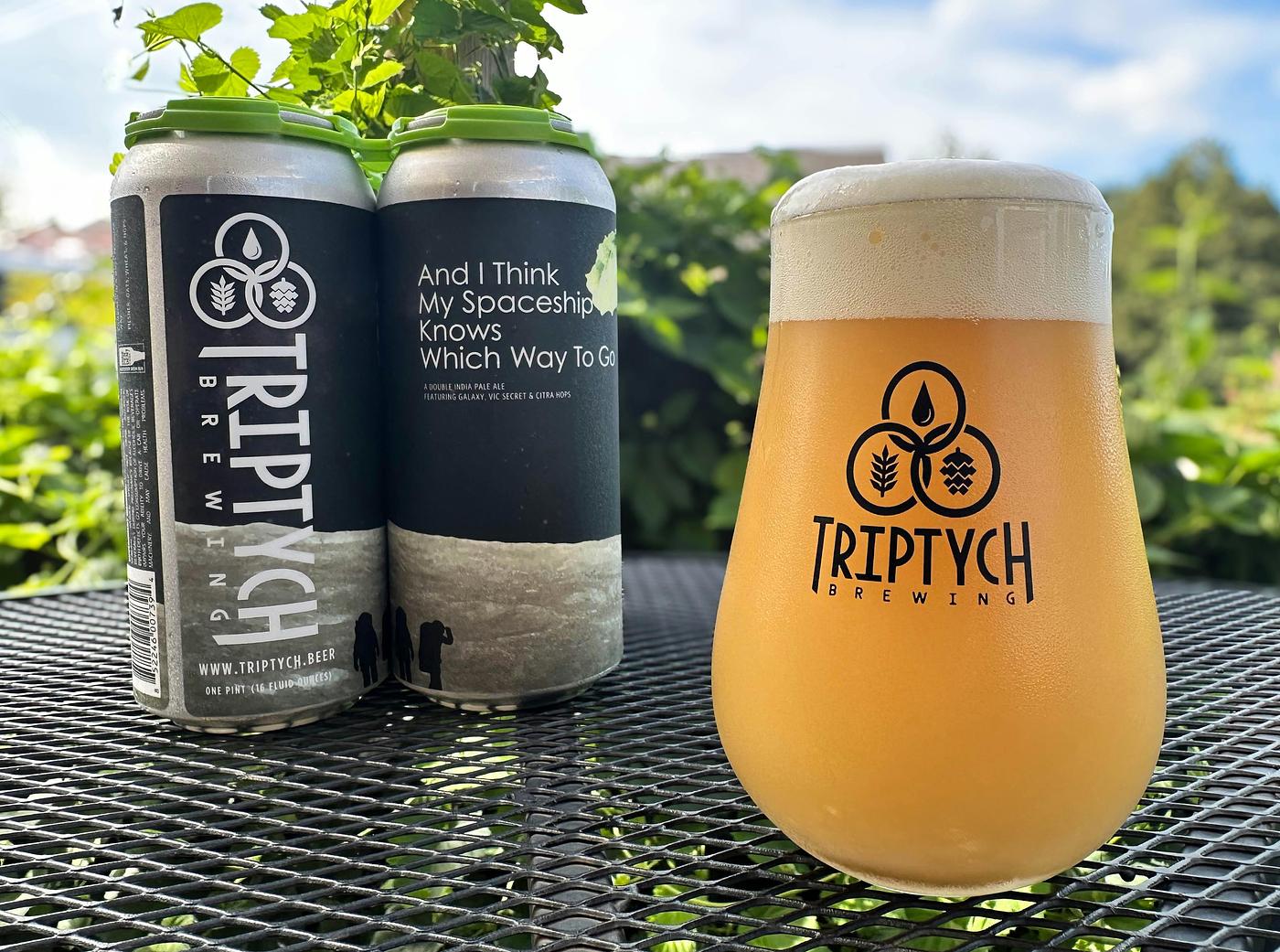 And I Think My Spaceship Knows Which Way To Go by Triptych Brewing