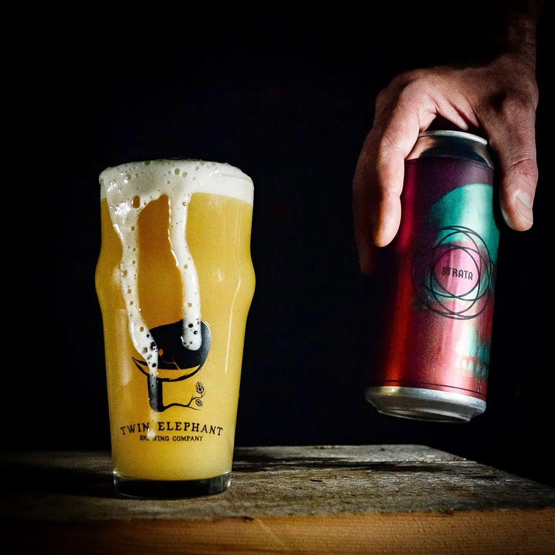 NOSH: CITRA & STRATA by Twin Elephant Brewing Company