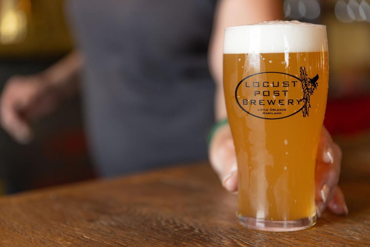 IPA by Locust Post Brewery