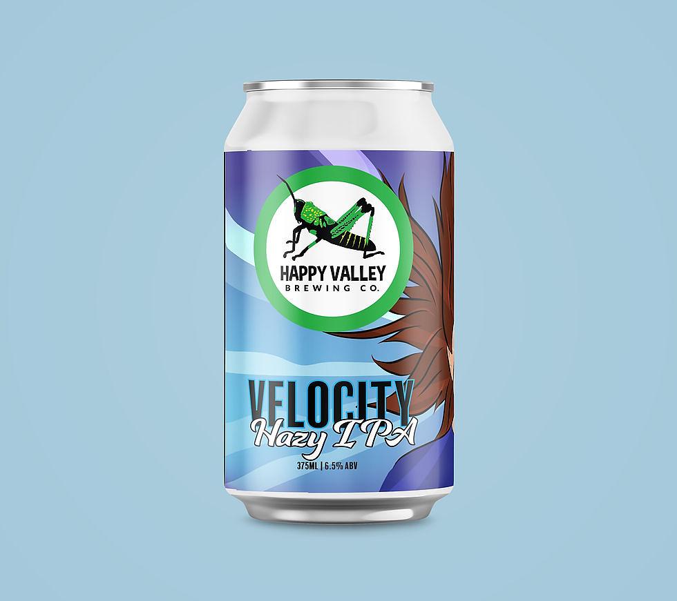 Velocity Hazy IPA by Happy Valley Brewing Co.
