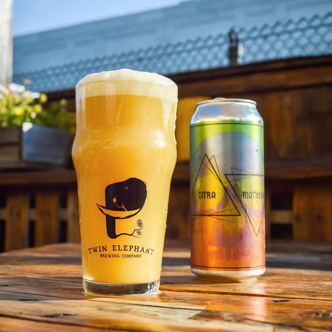 Nosh: Citra & Strata by Twin Elephant Brewing Company
