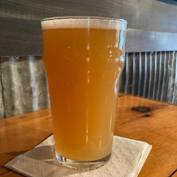 Galactic Space Juice Hazy IPA by Lake Ann Brewing Co